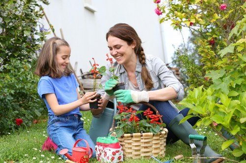 Lush green lawn after professional mowing