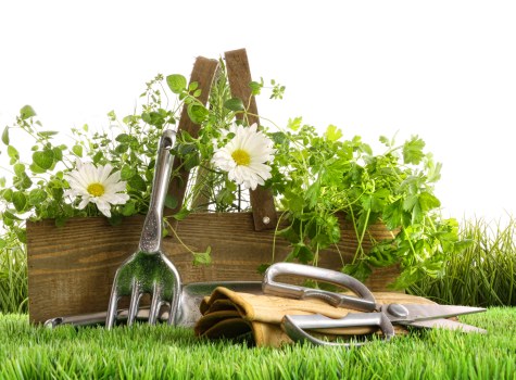 Professional lawn mowing service
