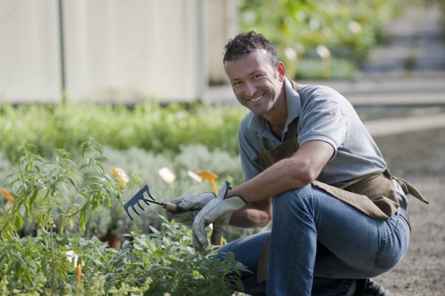 A smiling man with short dark hair and a light beard is engaged in gardening in an outdoor garden space, kneeling next to a patch of healthy, green leafy plants. He is wearing a light grey polo shirt, blue jeans, and a brown gardening apron, with grey gardening gloves on his hands. In his right hand, he holds a small hand rake, which he appears to be using for weeding or soil loosening. The garden features a well-maintained lawn area with dense grass in the foreground and a variety of plants, including flowering and leafy shrubs, in the background. A wooden fence with vertical slats borders the garden, and sunlight filters softly through the surrounding trees, indicating a mild, clear day. The setting suggests a residential backyard or front garden maintained by professional gardening services, such as those offered by Hedge Trimming Manor Park, contributing to a tidy and lush outdoor environment suitable for local landscaping and lawn care.